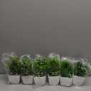 Yoratee 6 Pot Small Fake Plant Flowerpot Artificial Plastic Eucalyptus Plant Wheat Grass Shrub Plant Indoor Desk Coffee Table Bathroom Bedroom Home Decoration (6)