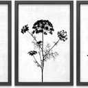 TQianJiang Flower Plant Wall Decor 16"x11" Black And White Botanical Painting Wood Framed Set of 3 Bedroom Office Abstract Wildflower Sign Hanging Art (Black)