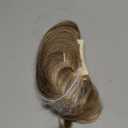 CJL HAIR Claw Clip Short Ponytail Hair Extensions DIY Bendable Metals Messy Bun Hair Piece for Wonen Straight Synthetic Fake Hairpieces Beige Multi