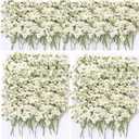165Pcs Dried Pressed Baby's Breath Flowers - 100% Natural Flat Real White Gypsophila Baby Breath, Pressed Flowers for Resin Art, Epoxy Coasters, Wedding Invitations, Scrapbooking, Frame Decorations