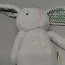 B. toys – 12-Inch Plush Bunny Soft & Cuddly Plush Rabbit Toy Washable – Happy Hues – Peppy Mint Bunny – 0 Months+