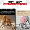 Loving Pets Elevated Dog Bowls Raised Stainless Steel Dog Bowls with Steel Stand Non-Skid, No Spill Feeder for Small, Medium & Large Dogs Easy to Clean, Durable Raised Dog Feeding Station