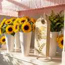 Eaasty 24 Set Graduation Day Themed Single Sunflower Card Sleeve Grad Gift Packaging Flower Holder with Floral Water Tubes Ribbon Floral Tissue Paper for Flower Packing