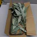 Faux Eucalyptus Stems Willow Eucalyptus Leaves 34 Long Fake Salix Leaves 3 Pcs Artificial Greenery Stems for DIY Bouquet Arrangements Centerpieces Shower Decorations-Artificial Eucalyptus Stems