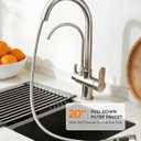 WANFAN Kitchen Sink Faucet with Pull Down Sprayer 2 Handle 3 in 1 Water Filter Purifier Faucets Brushed Nickel 0195SN