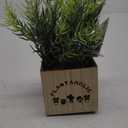 Bambeco LED Wood Box