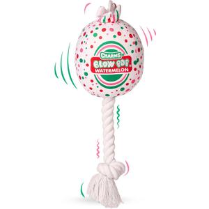 Blow Pop Plush & Rope Dog Toy Scented Squeaky Plush with Durable Rope Stick Tug, Fetch & Chew Toy for Dogs 