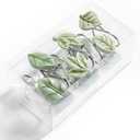 Gibelle 12PCS Leaves Shower Curtain Hooks, Green Plant Leaf Decorative Shower Curtain Hooks Metal Rustproof Cute Eucalyptus Shower Curtain Rings Bathroom Decoration Accessories