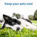 The Green Pet Shop Cool Pet Pad - Large, Latte- Self-Cooling, Pressure Activated Mat for Dogs & Cats from 46-80 lbs - Non-Toxic Gel, No Water Needed