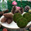 BYHER Natural Green Moss Decorative Ball,Handmade (3.5"-Set of 6)
