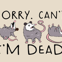 Funny Possum Storage Bins