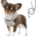 Fida Comfy Dog Harness with Leash, Soft Puppy Vest Escape Proof, Breathable Lightweight Soft Mesh, Adjustable Reflective Step-in Harness for Cat & Extra-Small Pet (XS, Grey) (XS (Neck:12.2"-13"; Girth:14.2"-16.1"))