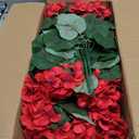 Hananona 12 Pcs Artificial Geranium Flowers for Outdoors Geranium Silk Red Flowers Outdoor UV Resistant Garden Plants Faux Flower for Christmas Home Kitchen Table Centerpieces Decor (12, Red)