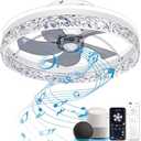 Baycnic Ceiling Fan with Light,Low Profile Ceiling Fans,Flush Mount Ceiling Fan, Smart Fandelier Ceiling Fans,Alexa&Google Assistant,Voice/APP/Remote Control,BluetoothSpeaker,for Bedroom/Small Room