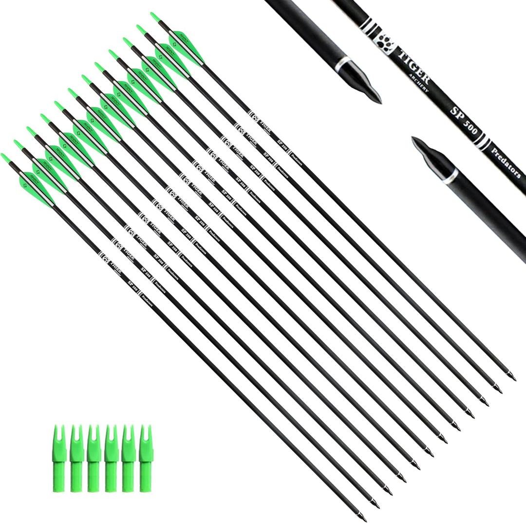 30Inch Carbon Arrow Practice Hunting Arrows with Removable Tips for Compound & Recurve Bow (Pack of 12) (Green White)