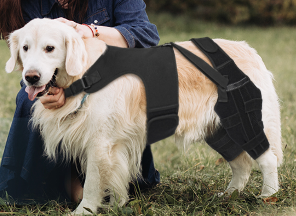 Pawfun Dog Knee Brace for Torn ACL Hind Leg, 122-XL-8