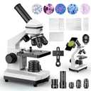 Compound Microscope for Adults & Kids - 100X-2000X High-Power Biological Microscope for Students, School Lab & Home Education, with Slides Set & Phone Adapter (White)