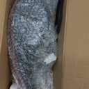 LH Halogen Type Tail Light Assembly Compatible With 2015-2017 Hyundai Sonata Eco Without LED Tail Lamp Left Driver Side Replacement HY2804129 92401C2000 11672200