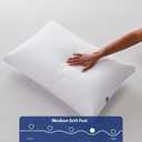 Casper Sleep Essential Pillow 2-Pack, Standard Size Medium Soft Feel, Down-Alternative Fill, Supports Side, Back & Stomach Sleepers