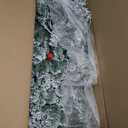 National Tree Company 6 ft Pre-Lit Flocked Acacia Artificial Christmas Tree, 300 Clear Lights, 840 Branch Tips, Includes Stand, Green