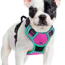 rabbitgoo Dog Harness No Pull with 2 Leash Clips, Adjustable Soft Padded, Reflective Oxford No Choke Pet Vest with Easy Control Handle for Large Dogs, Hot Pink & Turquoise, S
