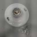 Leviton 8829-CW1 One-Piece Urea Outlet Box Mount, Incandescent Lampholder, White