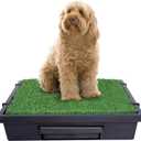 PetSafe Pet Loo Portable Dog Potty - Pet Toilet Alternative for Puppy Pads - Medium - Perfect for House Training - Easy-to-Clean Grass Mat
