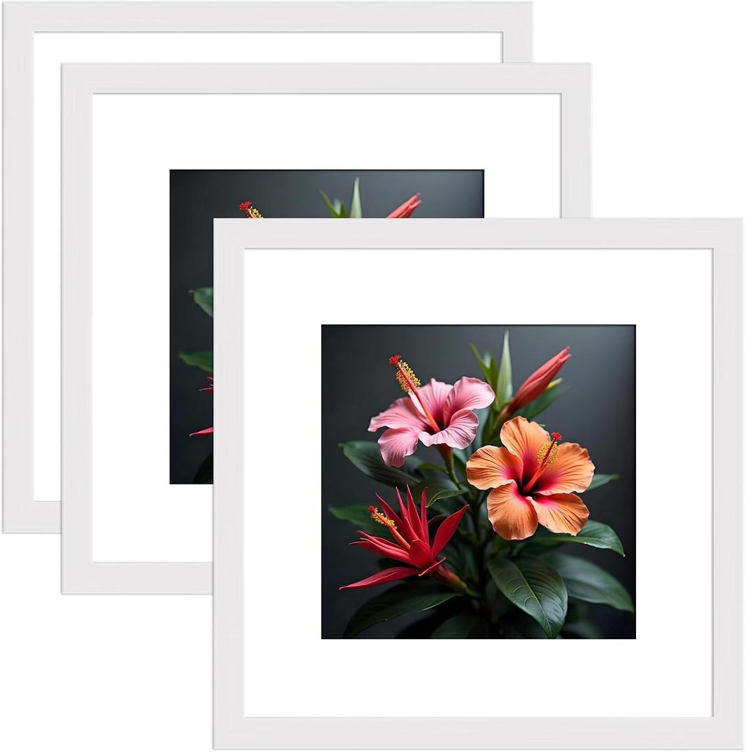 24X24 Frames, Square Picture Frame 24 by 24, White Matted Frames, Wood Photo Frame 24 x 24, Display Picture 20x20 with Mat or 24 x 24 without Mat, 3 Pack Wall Mounting Poster Frame