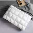 Soft Pillows Standard for Sleeping, Support Bed Pillows, Fluffy Down Alternative Pillow, Luxury Hotel Gel Standard Pillows for Side Sleeping (White)