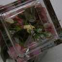 Pink Artificial Flowers in Vase - Hydrangea, Peony, Rose Silk Floral Arrangements for Home Office Table Shelf Decor