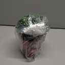 Mud Pie Boxwood Tartan Pot, Large, 5" x 5" Dia