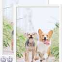 8x11 Picture Frame Set of 2, White Photo Frames High Transparent Wall Gallery Desktop Horizontal Vertical for Canvas Collage Photo Poster Certificate 8 x 11 inches