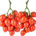 PH PandaHall 2 Pack Artificial Cherry Tomatoes 6.1 inch Long Artificial Fruit Lifelike Simulation Tomato Red Tomatoes Decoration Faux Fruit Props for Home Kitchen Cabinet Party Pretending Prop