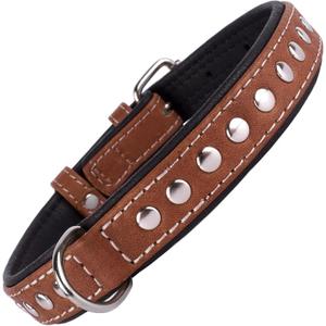 CollarDirect Studded Dog Collar Leather Pet Collars for Dogs Small Medium Large Puppy Soft Padded Brown Black (Brown, Neck fit 17" - 19")