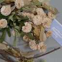 Alupssuc 16PCS Faux Silk Pompon Mums Artificial Flowers with Eucalyptus, Fake Chrysanthemum Floral for DIY Vase Arrangement, Long Stem Dining Table Centerpiece Home Decor, Beige