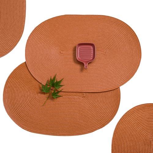 AHHFSMEI Placemats Set of 6 for Dining Table Washable Woven Non-Slip 18x12 inches Placemat Heat-Resistant Durable Table Mats for Dining Table Easy to Clean (Burnt Orange 6)