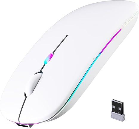 Wireless Bluetooth Mouse, Rechargeable, LED, Silent, Ultra-thin Design (Bluetooth 5.2 and 2.4GHz USB Receiver) | Portable Computer Mouse for Laptops, iPads, MacBooks and Apple Devices (white)