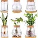 6 Pcs Plants Propagation Station Separated Desktop Glass Plant Terrarium with Wood Lid and Tray, 3 Sizes Hydroponics Plants Jars Water Planting Vases for Indoor Home Tabletop Decor