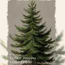 WHASAYART Gold Framed Vintage Wall Art Christmas Tree Print for Living Room Christmas Pictures Botanical Pine Tree Painting Shelf Decor Winter Cottagecore Room Aesthetic Xmas Holiday Decorations Gift