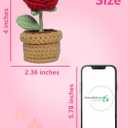 2 x Handmade Crochet Flowers, Crochet Roses, Knit Flowers, Teacher Appreciation Gifts, Perfect for Birthday, Anniversary, Christmas, Rose (Red)