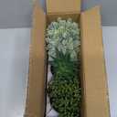 Winlyn Set of 3 Artificial Succulent Plants in Black Concrete Pots Faux Aloe Hops String of Pearls Potted Plants Small Fake Plants Desk Plants for Home Office Desk Kitchen Bathroom Shelf Windowsill