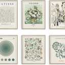 Habseligkeit Sage Green Master Wall Art Prints, Abstract Matisse Wall Art Exhibition Posters, Vintage Art Prints, Retro Room Decor for Bedroom Aesthetic Framed, 8x10in, Set of 6