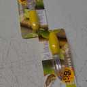 Pro Fresh Citrus Reamer 2Pack