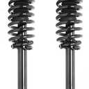 Parod Pair 171299 Rear Suspension Shock Absorber Strut Fit For 1998 - 2002 Honda Accord w/Coil Spring Assembly Rear Left And Right