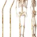Briwooody 2 Pcs Skeleton Stand Pose N Stay Metal Stand for 5.4 FT Tall Skeletons Halloween Decor Accessories(Prongs Base)