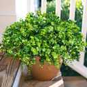 HyeFlora Artificial Plants for Outdoors Outside Spring Summer Decoration, 12 Bundles Faux Eucalyptus Leaves Stems Bulk Fake Greenery Branches Look Real UV Resistant for Home Porch Patio Planter Yard