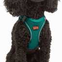 Tailpetz Dog Harness with Breathable Mesh, Reflective, Step-in, No Pull Dog Vest Harness for Small and Medium Dogs and Cats, Emerald, XS (X-Small (Chest:14"-16"), Dark Green)