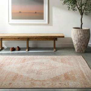 Livabliss x Becki Owens Luca Vintage Area Rug, 3'11" x 5'7", Dusty Pink, (4' x 6')