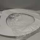 Bemis 1500EC 162 Wood Toilet Seat with Easy Clean & Change Hinges, Elongated, Silver