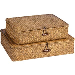 Set of 2 Flat Seagrass Storage Bins with Lid Wicker Storage Baskets for Organizing, Woven Shelf Organizer Bins Home Utility Organizer Box for Home & Office Supplies (Caramel)